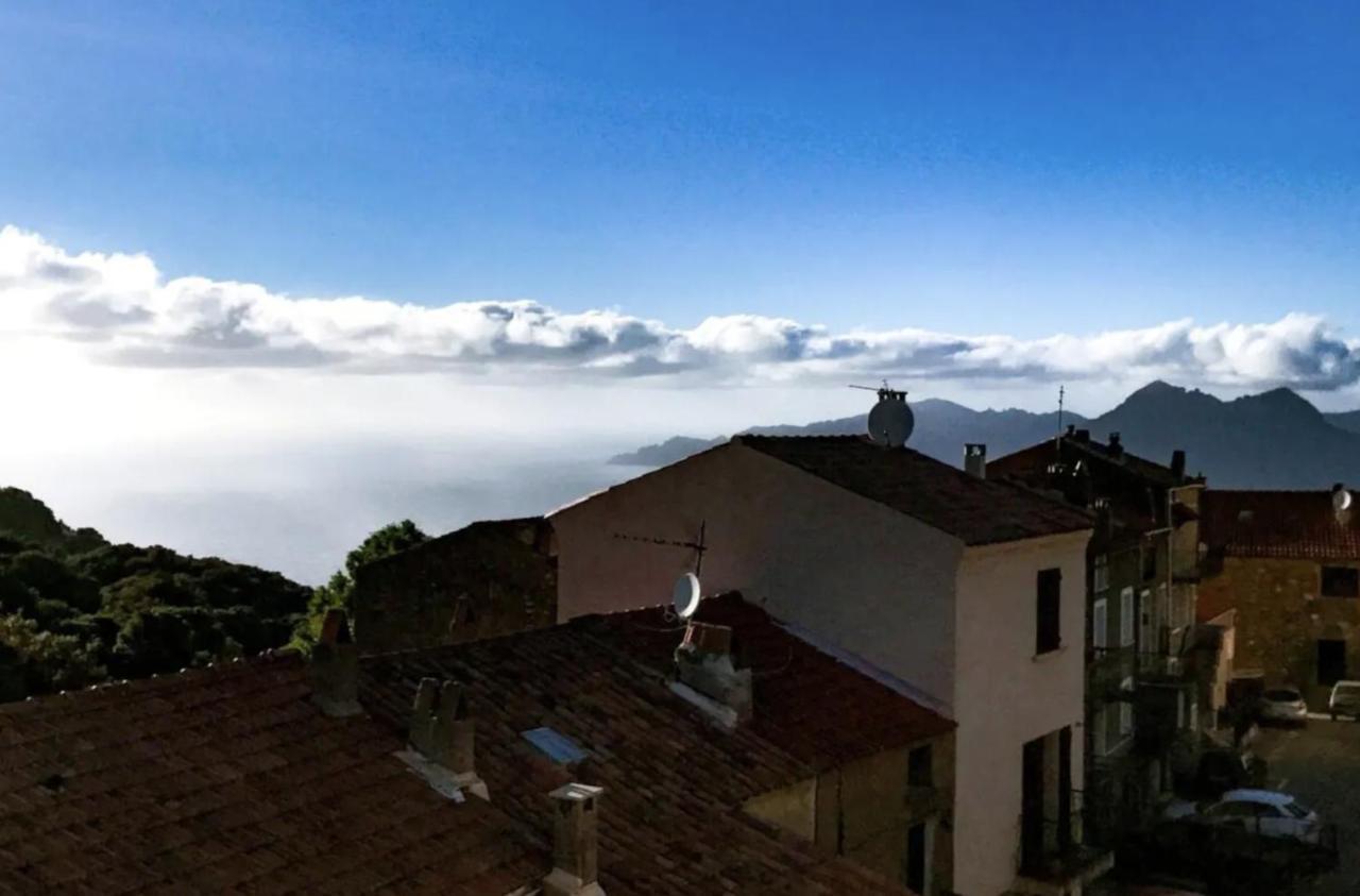 La Coletta Bel Appartement Typique Avec Balcon Centre Piana Piana  Exteriör bild